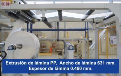 Extrusión de Lámina PP para Termoformado